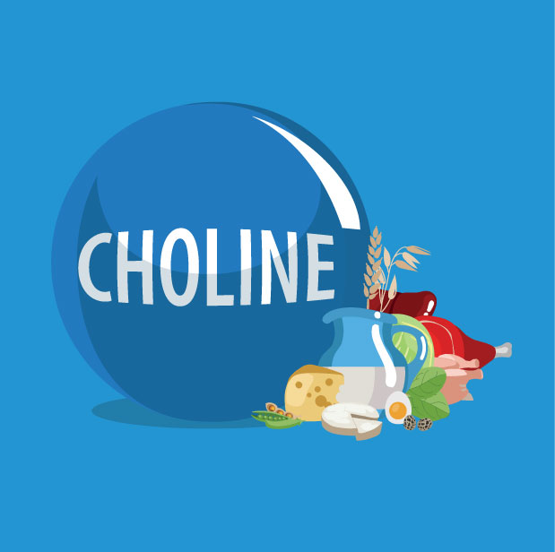 Choline: An Essential Nutrient