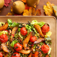 Caramelized Pear, Roasted Tomato and Lentil Salad