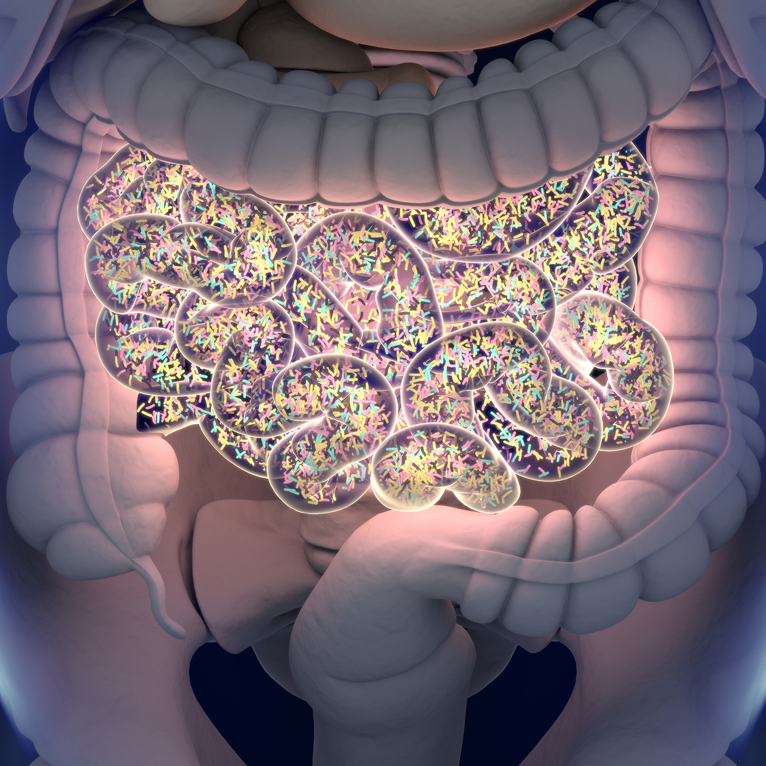 Gut Microbiome, Diet and Health