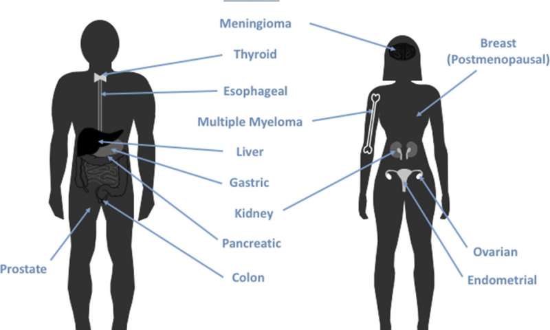 The connection between diet, obesity, and cancer: Nutrition experts explore the evidence