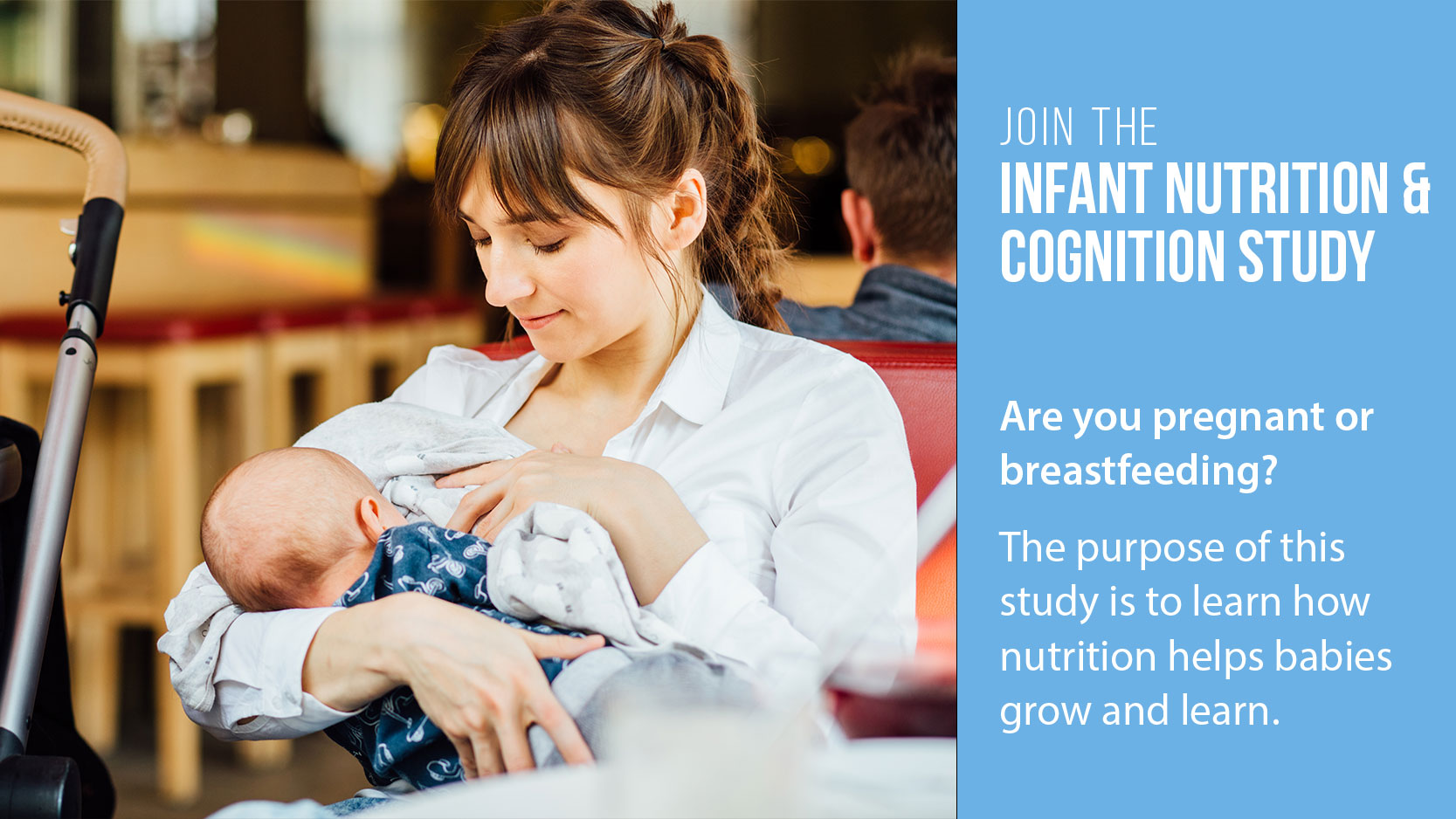 Infant Nutrition and Cognition Study