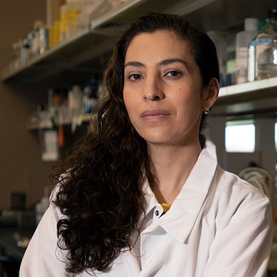 Isis Trujillo-Gonzalez, PhD Assistant Professor of Nutrition