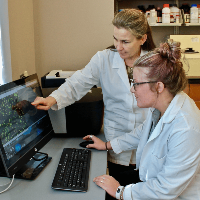 Natalia Krupenko, PhD and student on computer
