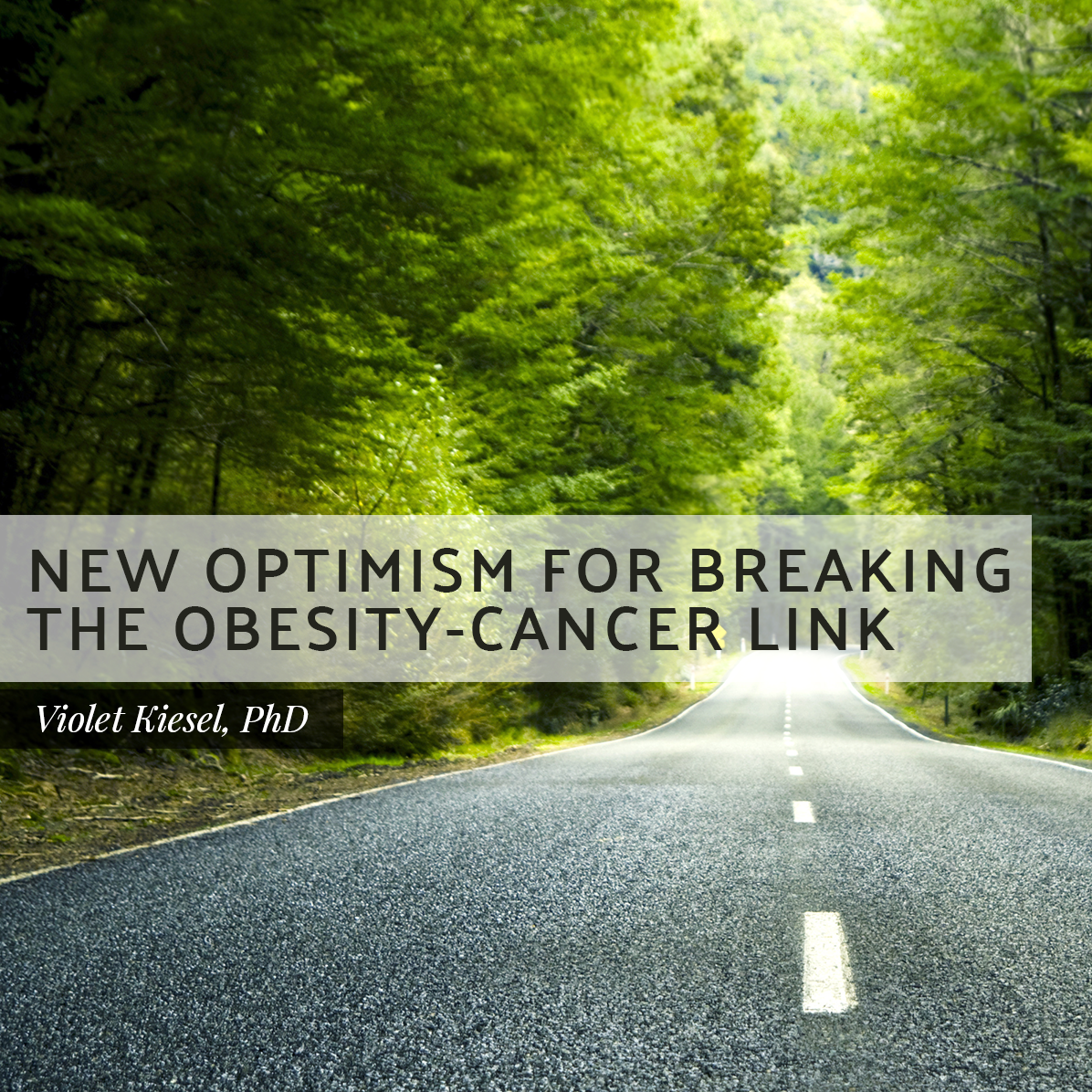 New Optimism for Breaking the Obesity-Cancer Link