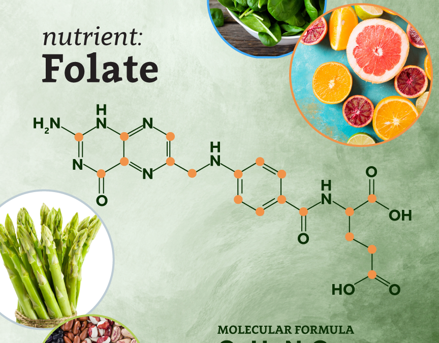 Folate is Essential, But Don’t Overdo It