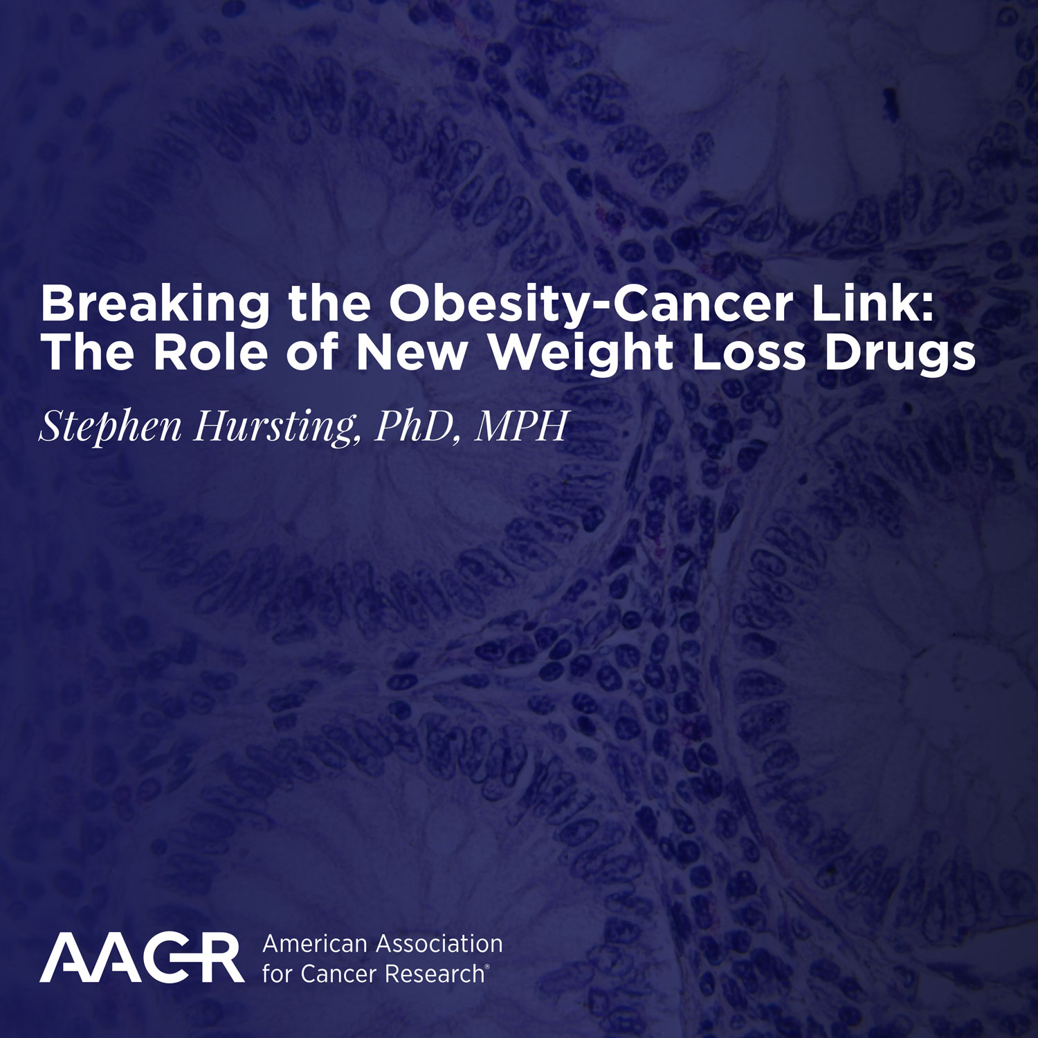Annual American Association of Cancer Research (AACR) Special Session Features Stephen Hursting’s Cancer and Obesity Research