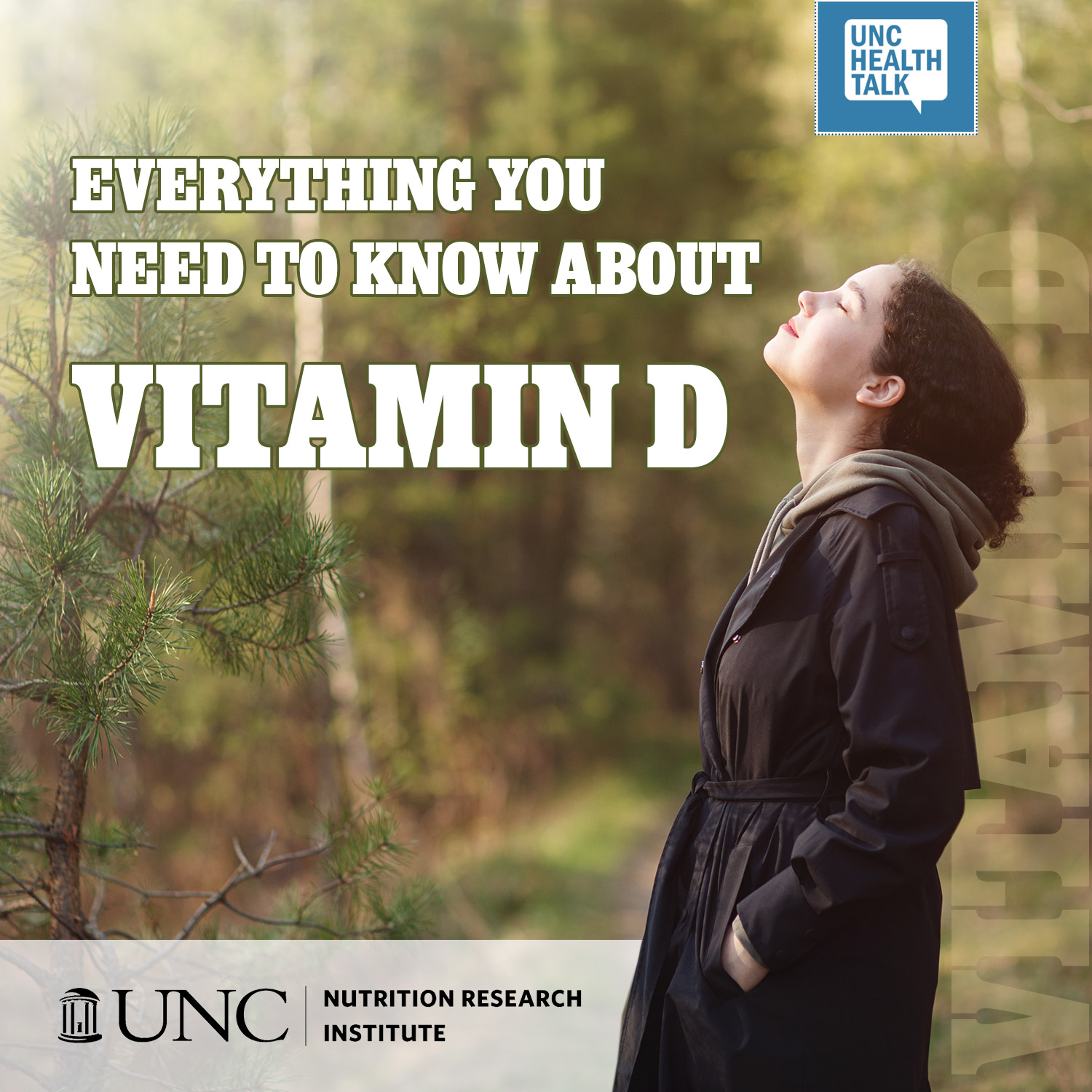 Everything You Need to Know About Vitamin D