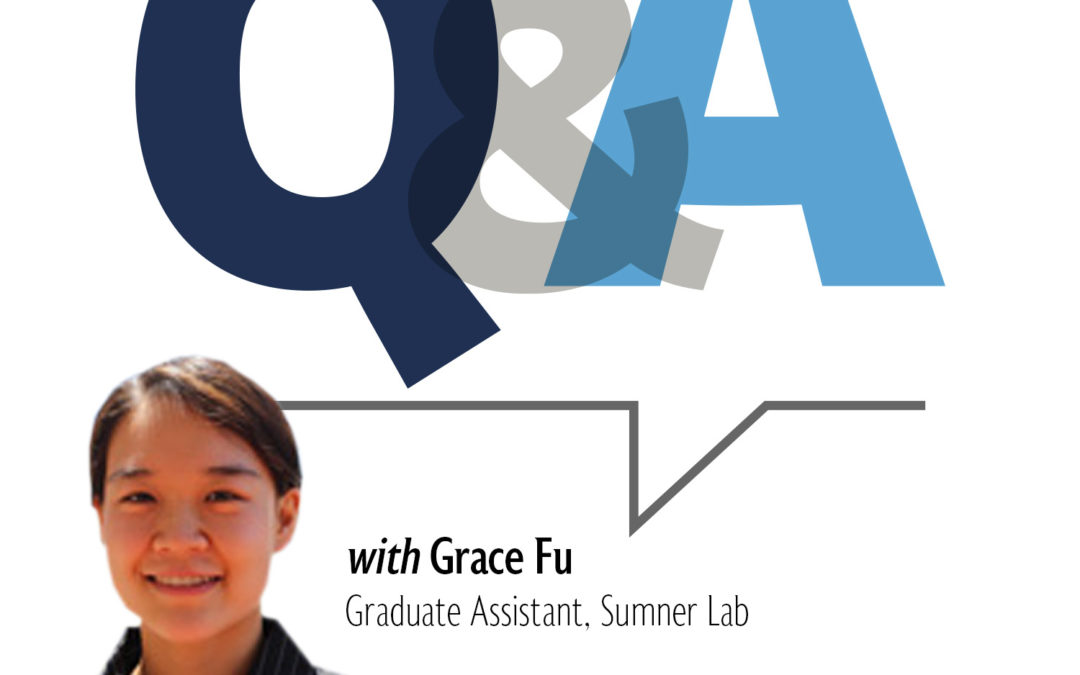 Q & A with Grace Fu