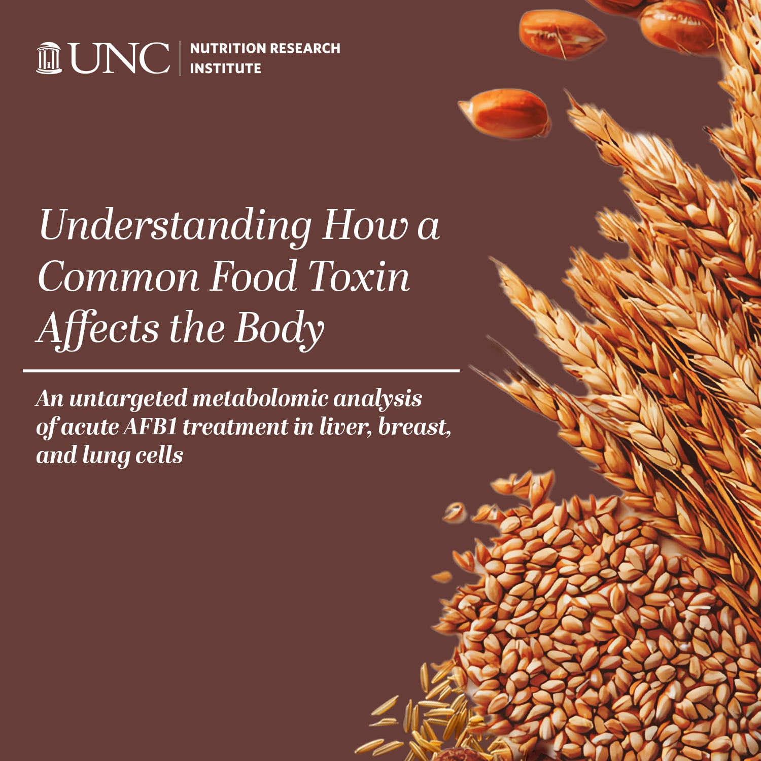 Understanding How a Common Food Toxin Affects the Body