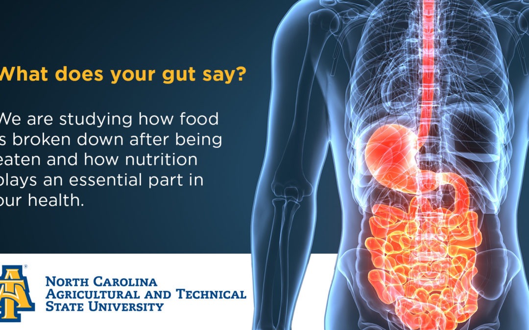 Nutritional Impact on Gut Microbiota and Human Health