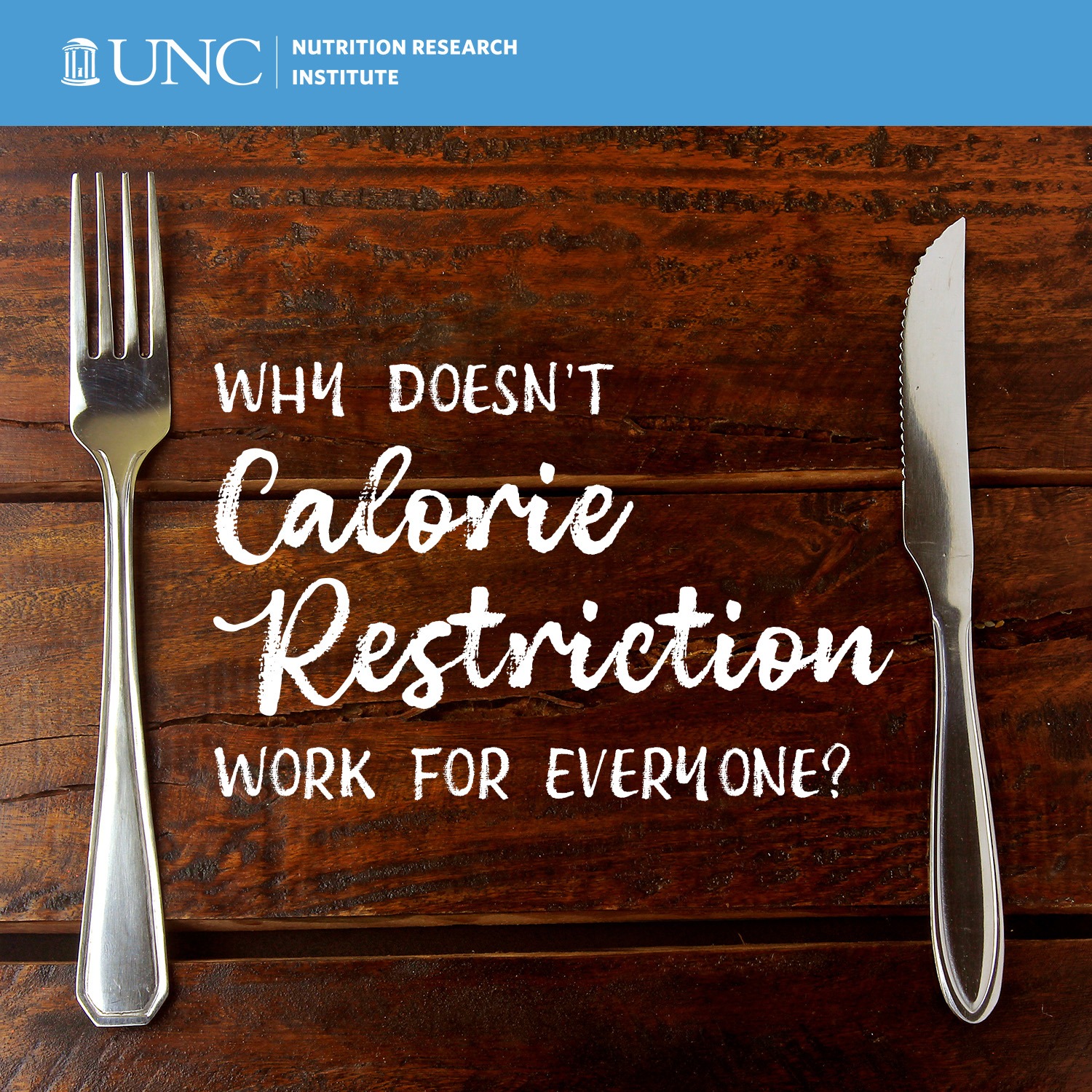 Why Some Diets Fail – UNC Researchers Investigate Metabolic Clues
