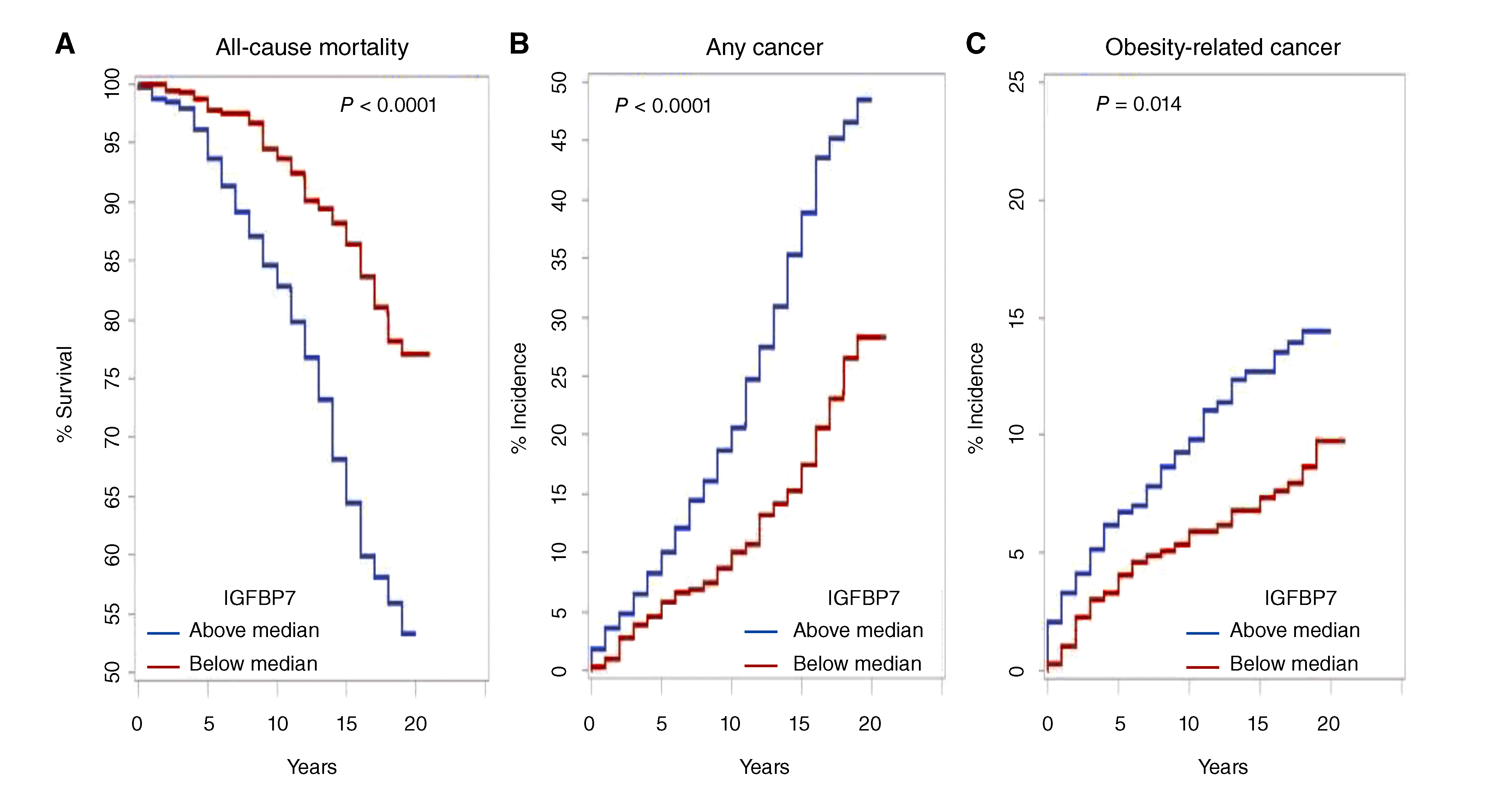 Pages from Hursting - Orenduff CEBP 2025