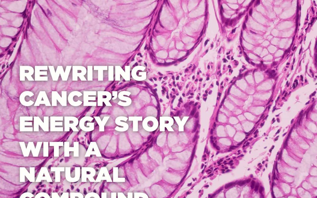 Rewriting Cancer’s Energy Story with a Natural Compound