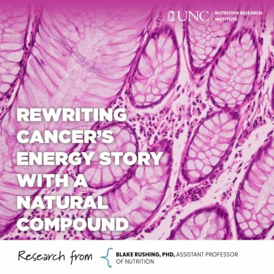 Rewriting Cancer’s Energy Story with a Natural Compound