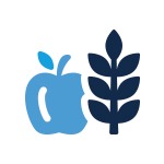 Diet and Metabolites