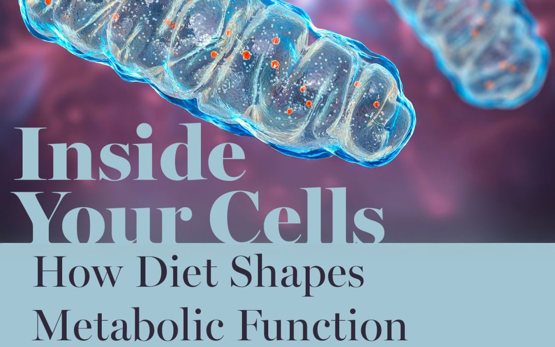 Inside Your Cells: How Diet Shapes Metabolic Function