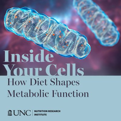 Inside Your Cells: How Diet Shapes Metabolic Function