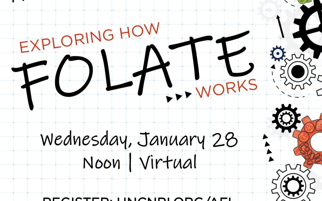 Appetite for Life: Exploring How Folate Works