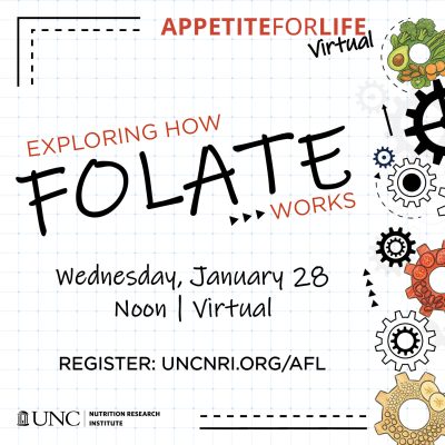 Appetite for Life: Exploring How Folate Works