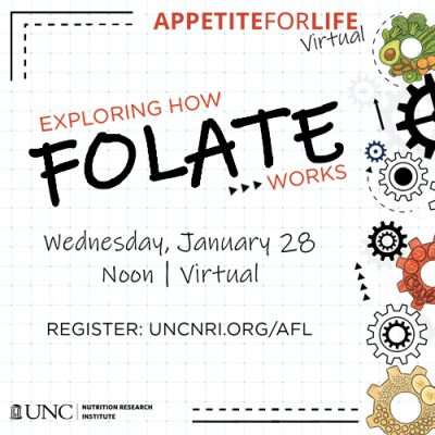 Appetite for Life: Exploring How Folate Works