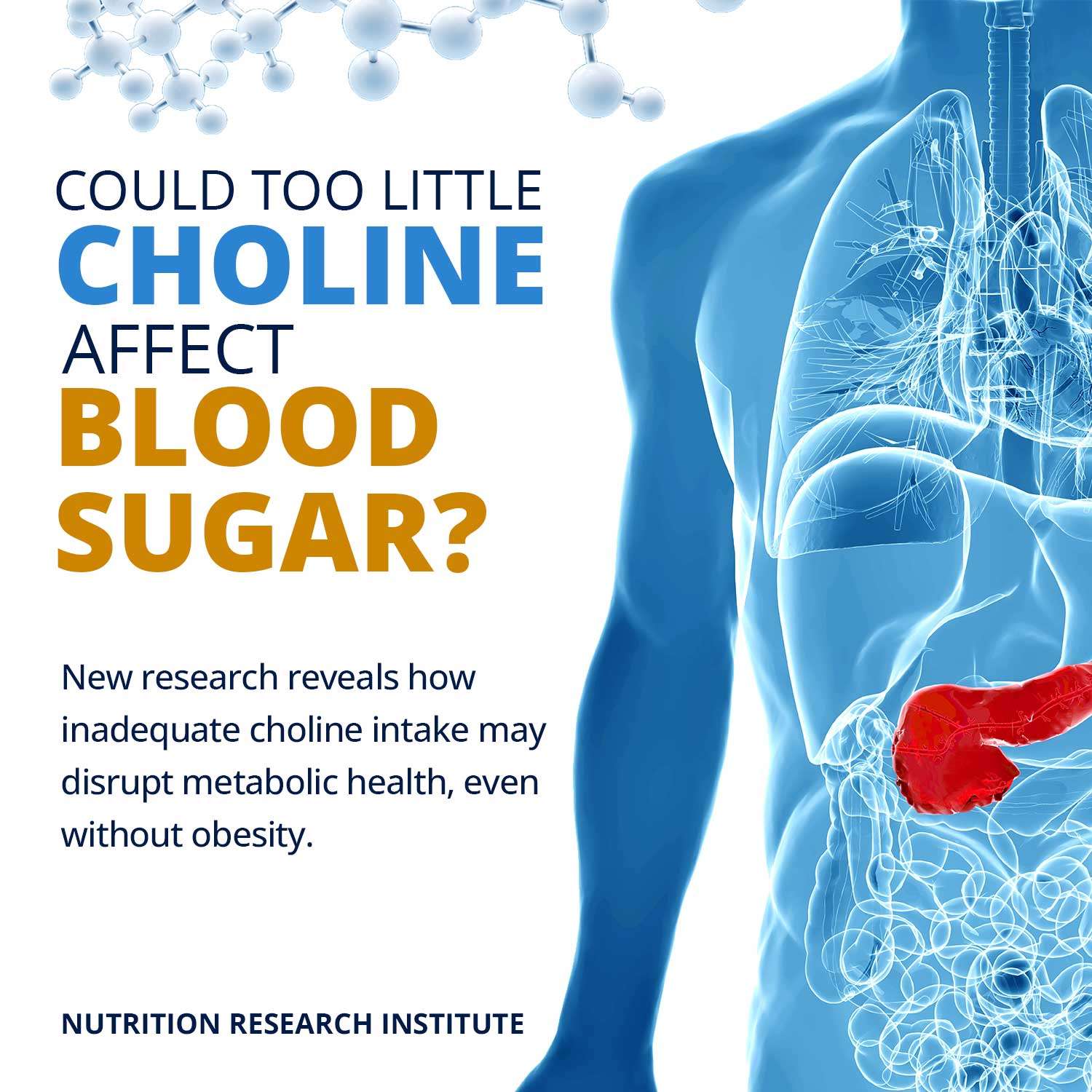 Could Too Little Choline Affect Blood Sugar?