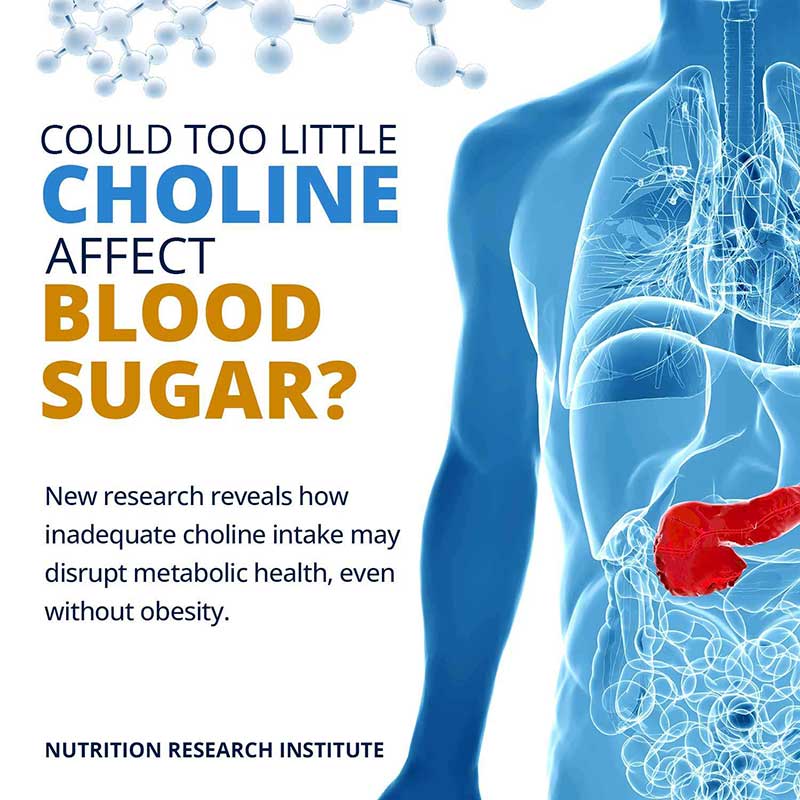 Could Too Little Choline Affect Blood Sugar?