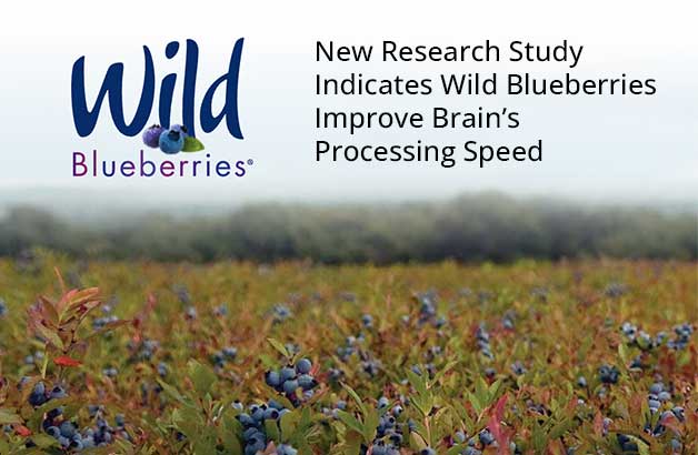 wild-blueberries-pict-news-post_topics-page Wild Blueberry Research